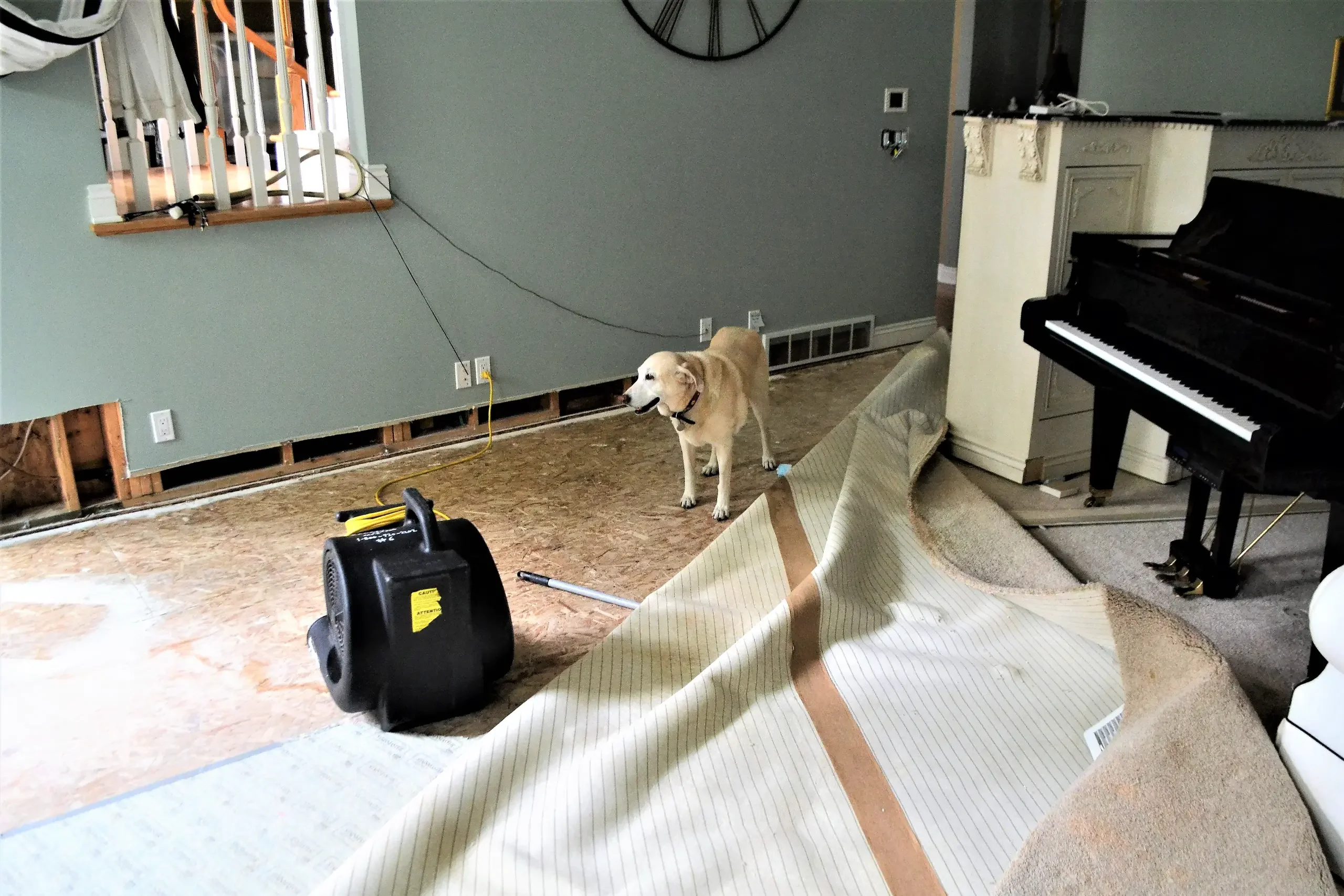 basement moisture control