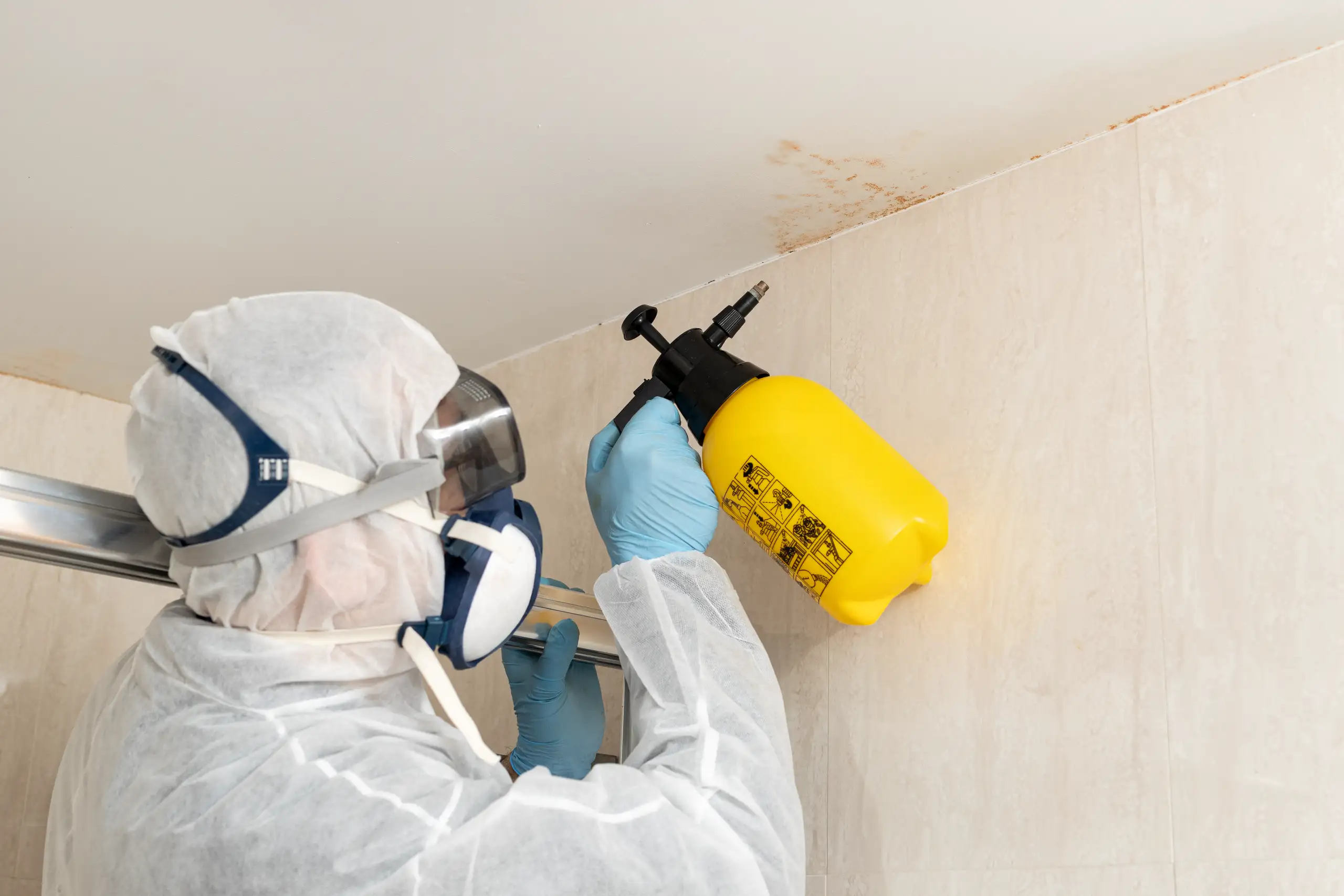 Worker in protective suit spraying water-stained ceiling with chemical sprayer Water Damage Repair